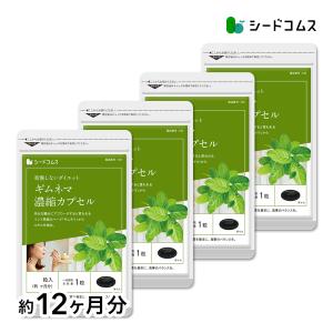 サプリ サプリメント ギムネマ濃縮カプセル BIGサイズ約1年分　サプリ　サプリメント ダイエット｜シードコムスYahoo!店
