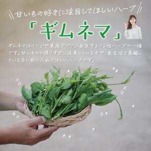サプリ サプリメント ギムネマ濃縮カプセル B...の詳細画像3