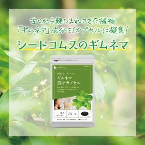 サプリ サプリメント ギムネマ濃縮カプセル B...の詳細画像4