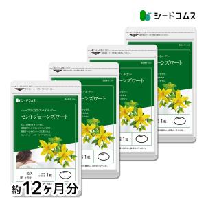 サプリ サプリメント セントジョーンズワート BIGサイズ約1年分　サプリ　サプリメント