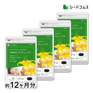 ルビーフィット 30包 ダイエットサプリメント : プライスラボ ヤフー店