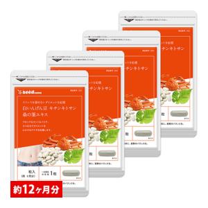 ERINA/エリナ 高麗人参エキス 90g 期限2027年5月 : キューブ