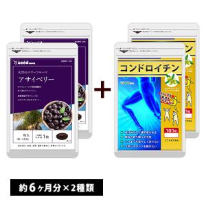 サプリ サプリメント アサイベリー　約6ヵ月分　コンドロイチン　約6ヵ月分　合計約12ヵ月分