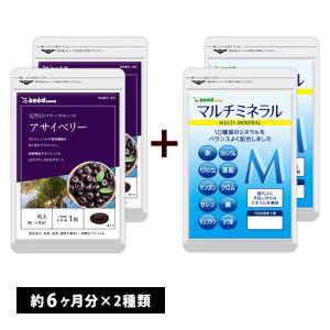 サプリ サプリメント アサイベリー　約6ヵ月分　マルチミネラル　約6ヵ月分　合計約12ヵ月分