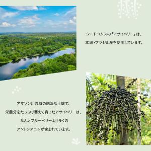 サプリ サプリメント アサイベリー 約6ヵ月分...の詳細画像4