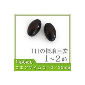 サプリ サプリメント コエンザイムQ10 約6...の詳細画像1