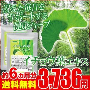 サプリ サプリメント イチョウ葉エキス　約6ヵ月分　お徳用半年分サプリSALE　サプリ　サプリメント ダイエット