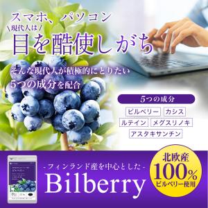 サプリ サプリメント ビルベリー 約6ヵ月分 ...の詳細画像1