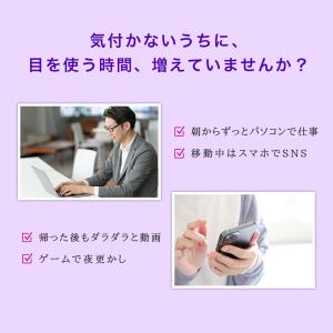 サプリ サプリメント ビルベリー 約6ヵ月分 ...の詳細画像2