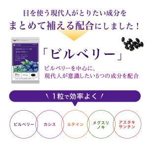 サプリ サプリメント ビルベリー 約6ヵ月分 ...の詳細画像3
