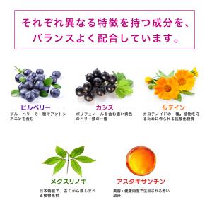 サプリ サプリメント ビルベリー 約6ヵ月分 ...の詳細画像4