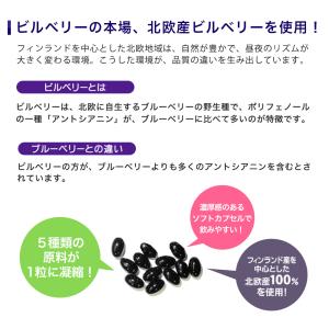 サプリ サプリメント ビルベリー 約6ヵ月分 ...の詳細画像5