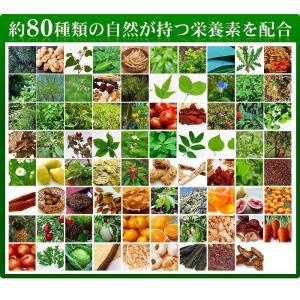 サプリ サプリメント サプリ 野草酵素 生酵素...の詳細画像5