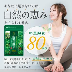 サプリ サプリメント サプリ サプリメント 生...の詳細画像1