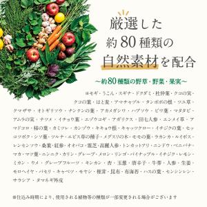 サプリ サプリメント サプリ サプリメント 生...の詳細画像4