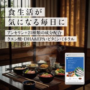アンセリン 約1ヵ月分 サプリ サプリメント ...の詳細画像1