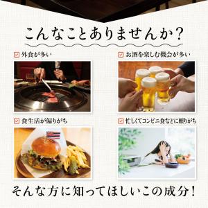 アンセリン 約1ヵ月分 サプリ サプリメント ...の詳細画像2