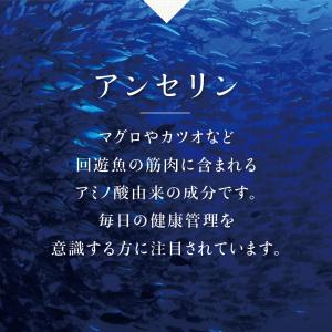 アンセリン 約1ヵ月分 サプリ サプリメント ...の詳細画像3