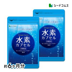 サプリ サプリメント 水素カプセル 約6ヵ月分 お徳用半年分サプリSALE　サプリ　サプリメント ダイエット｜seedcoms