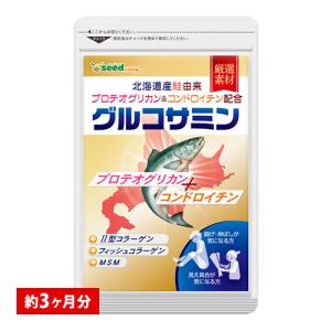 プロテオグリカン　北海道産 鮭由来 コンドロイチン配合　2型コラーゲン配合グルコサミン＋コンドロイチン＋MSM 約3ヵ月分｜seedcoms