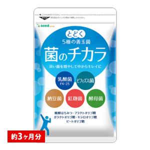 サプリ サプリメント 乳酸菌 菌のチカラ　約3ヵ月分 ビフィズス菌 乳酸菌 ナットウキナーゼ 紅麹菌 酵母菌 フラクトオリゴ糖｜seedcoms