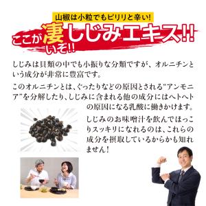 しじみエキス 牡蠣殻入り 約3ヵ月分 サプリ ...の詳細画像3