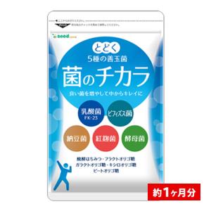 サプリ サプリメント 乳酸菌　菌のチカラ　約1ヵ月分