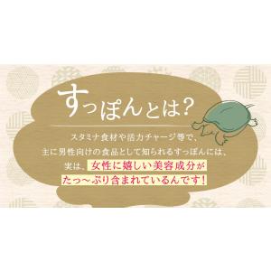 国産すっぽんもろみ酢 琉球もろみ酢 サプリ サ...の詳細画像2