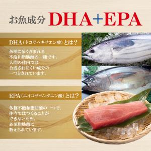 オメガ3 DHA EPA 約1ヵ月分 オメガ3...の詳細画像5