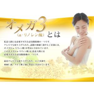 オメガ3 約3ヵ月分 DHA EPA サプリメ...の詳細画像4