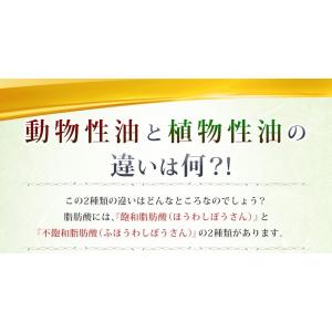 オメガ3 約6ヶ月分 DHA EPA サプリメ...の詳細画像5