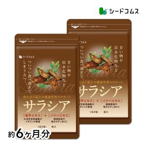 サプリ サプリメント サラシア　約6ヵ月分 お徳用半年分サプリSALE