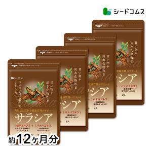 サプリ サプリメント サラシア BIGサイズ約1年分 