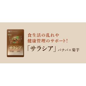 サプリ サプリメント サプリ サプリメント サ...の詳細画像2