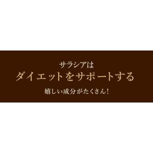 サプリ サプリメント サラシア 約1ヵ月分 送...の詳細画像3