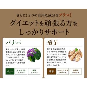 サプリ サプリメント サプリ サプリメント サ...の詳細画像5