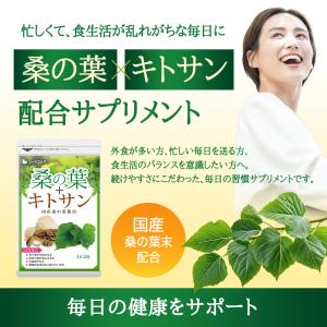 サプリ サプリメント サプリ サプリメント 国...の詳細画像2