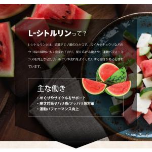 サプリ サプリメント シトルリン L-シトルリ...の詳細画像2
