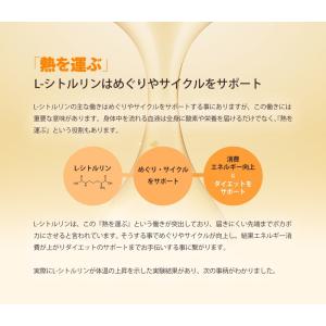 サプリ サプリメント シトルリン L-シトルリ...の詳細画像5