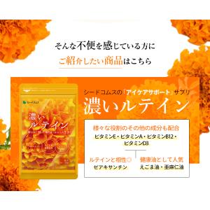 サプリ サプリメント ルテイン 濃いルテイン ...の詳細画像3
