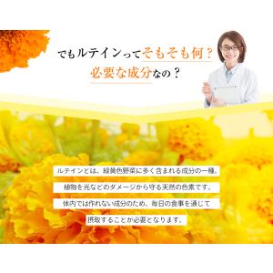 サプリ サプリメント ルテイン 濃いルテイン ...の詳細画像4