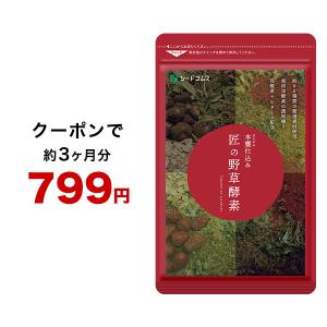 で799円 サプリ サプリメント 匠の野草酵素　約3ヵ月分　酵素　練酵素　生酵素