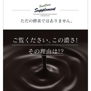 サプリ サプリメント 匠の野草酵素 約3ヵ月分...の詳細画像1