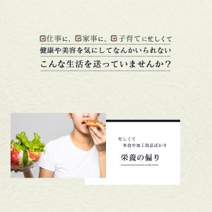 サプリ サプリメント 匠の野草酵素 約3ヵ月分...の詳細画像2