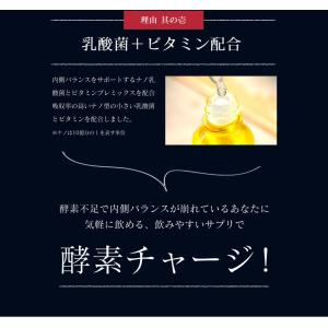 サプリ サプリメント 匠の野草酵素 約3ヵ月分...の詳細画像4