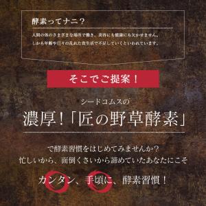 サプリ サプリメント 匠の野草酵素 約3ヵ月分...の詳細画像5