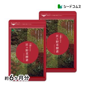 サプリ サプリメント 匠の野草酵素　約6ヵ月分　酵素　練酵素　生酵素｜seedcoms