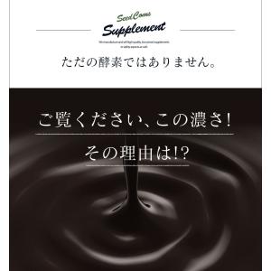 サプリ サプリメント 匠の野草酵素 約6ヵ月分...の詳細画像1