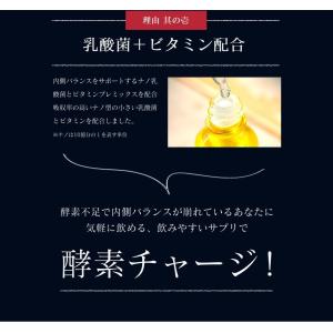 サプリ サプリメント 匠の野草酵素 約6ヵ月分...の詳細画像4