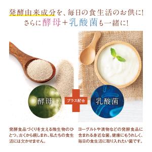 サプリ サプリメント コンブチャ 約6ヵ月分の詳細画像4